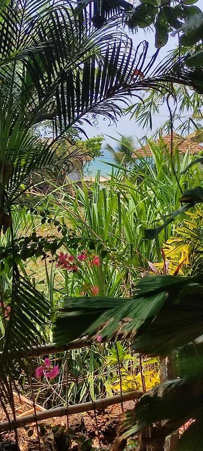 Sandra Eco Varkala